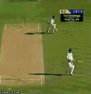 cricket fail GIF by Cheezburger