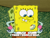 season 5 GIF by SpongeBob SquarePants