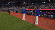 Blue Jays Baseball GIF by Toronto Blue Jays
