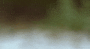passing by oh hello GIF