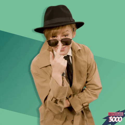 Sunglasses Trenchcoat GIF by funk