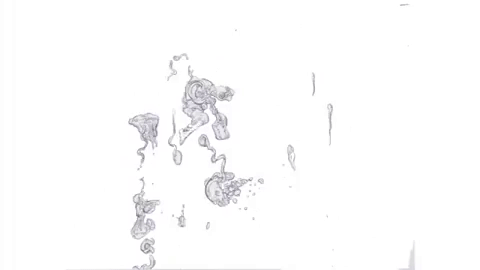 GIF by Alex Boya