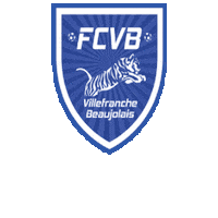 Football Club Sticker by FCVB
