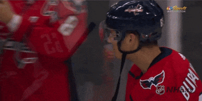 intimidate ice hockey GIF by NHL
