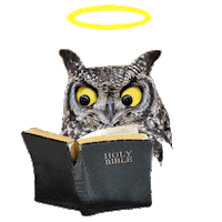 Fun Church Sticker by Abenteujahr