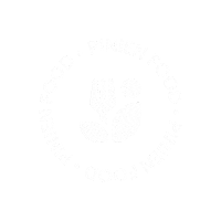 Fun Summer Sticker by Pinien Art & Media