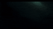 Shark Movie GIF by Signature Entertainment