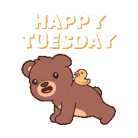 Push Up Teddy Bear Sticker by BEARISH