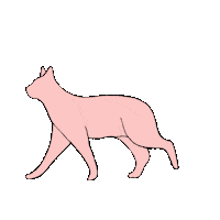 Cat Eye Sticker by E MERLIN MURRAY
