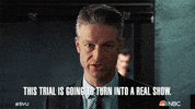 Episode 11 Nbc GIF by Law & Order