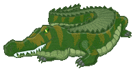 Florida Alligator Sticker by mackelangelo