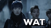 k-pop what GIF