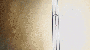 Spin Around Destiny 2 GIF by DestinyTheGame