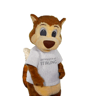 universityofstirling winning you success first Sticker