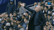 Spurs Tottenham GIF by MolaTV