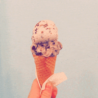 GIF by GIPHY CAM