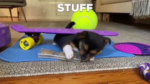 PupToys giphygifmaker GIF