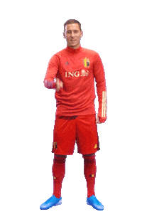 ingbelgium goal red perfect well done Sticker