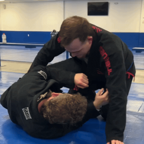 Ufc Grappling GIF