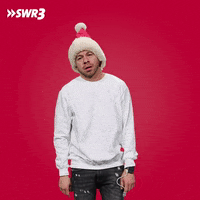 Mad Merry Christmas GIF by SWR3
