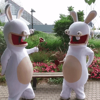 rabbids GIF by Futuroscope