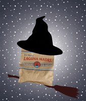 Halloween Broomstick GIF by Bill Miller Bar-B-Q