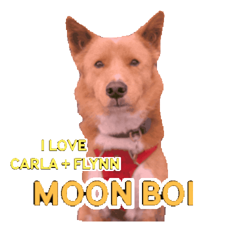 Moonspacedog Sticker by hamlet