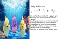 Animated Cards GIF