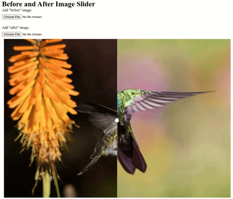 daviduzondu giphyupload GIF