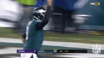 philadelphia eagles football GIF by NFL