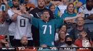 National Football League GIF by NFL