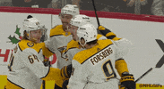 Celebrate Ice Hockey GIF by NHL