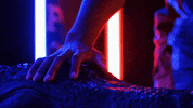 Happy Excited GIF by Florida Gators