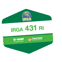 Arroz Sticker by BASF Soluções para a Agricultura
