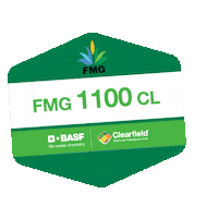 Arroz Sticker by BASF Soluções para a Agricultura