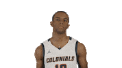 Western Connecticut State University Basketball Sticker by WCSU