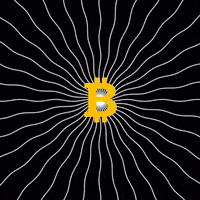 Crypto Cryptocurrency GIF