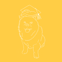 London School GIF by LSE