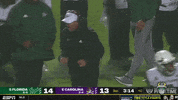 Usf Football GIF by SoFloBulls