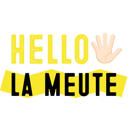 NATYKA giphyupload dog hello chien Sticker