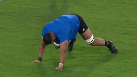 Spiderman Creeping GIF by Rugby World Cup