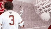 Roll Pards GIF by Lafayette Leopards