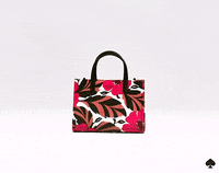 Oh My Gosh Hello GIF by kate spade new york