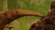 La Salle Art GIF by jorgemariozuleta