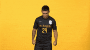 Sport Calstatela GIF by Cal State LA Golden Eagles
