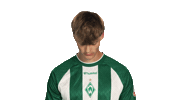 Look Up Werder Bremen Sticker by Bundesliga