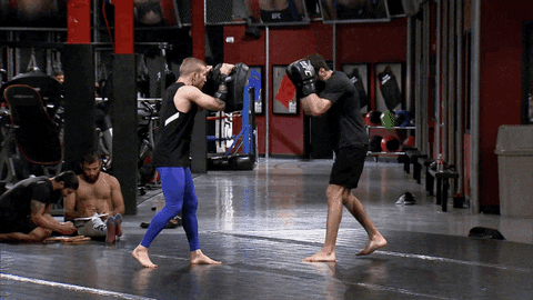 The Ultimate Fighter Episode 6 GIF by UFC
