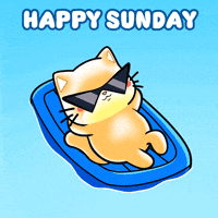 Happy Sunday Cat GIF by Mochimons