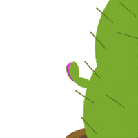 KOTNguyen surprise plant cactus bloom Sticker
