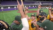 north dakota state baseball GIF by NDSU Athletics